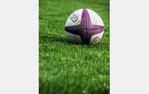 U16 (N) - SCO Rugby Angers / Brest UC